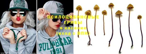 дурь Кинешма