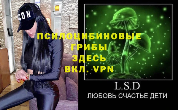 дурь Кинешма