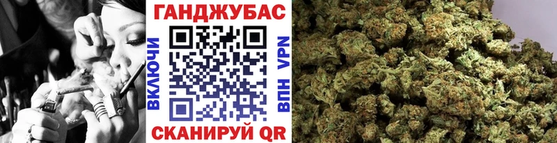 Шишки марихуана сатива  Купить  Мосальск 